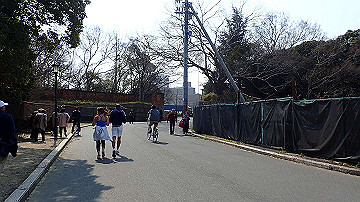 p3190153_thumb.jpg
