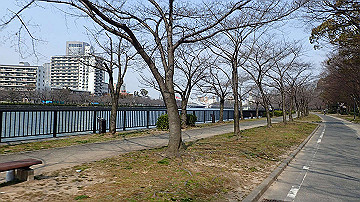 p3190165_thumb.jpg