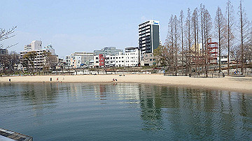 p3190171_thumb.jpg