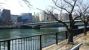 p3190172_thumb.jpg