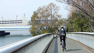 p3190178_thumb.jpg