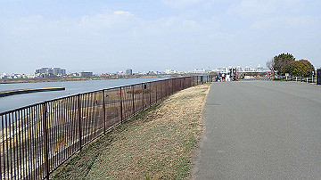p3190184_thumb.jpg