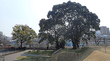 p3190193_thumb.jpg