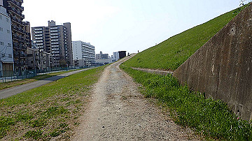 p3190206_thumb.jpg