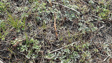 p3190207_thumb.jpg