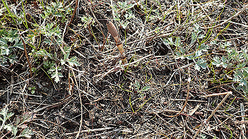 p3190208_thumb.jpg