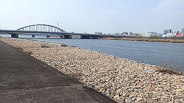 p3190220_thumb.jpg