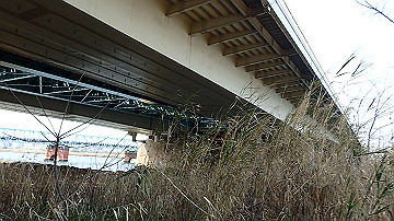 p3190222_thumb.jpg