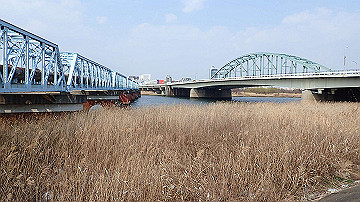 p3190223_thumb.jpg