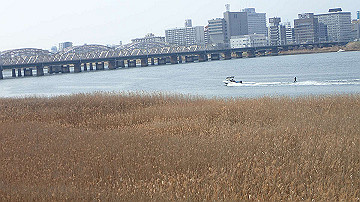 p3190231_thumb.jpg