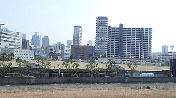 p3190242_thumb.jpg