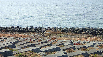 p3190266_thumb.jpg