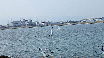 p3190272_thumb.jpg