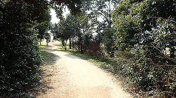 p3190288_thumb.jpg