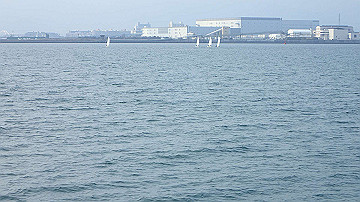 p3190298_thumb.jpg