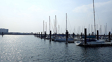 p3190303_thumb.jpg