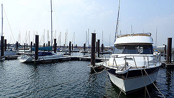 p3190304_thumb.jpg
