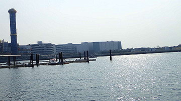 p3190305_thumb.jpg