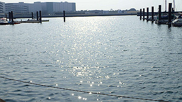 p3190306_thumb.jpg