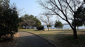 p3190335_thumb.jpg