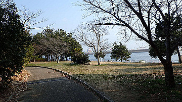 p3190336_thumb.jpg