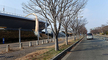 p3190345_thumb.jpg
