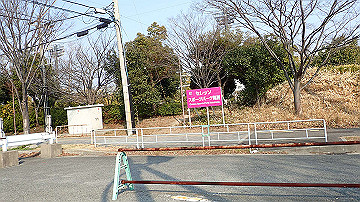 p3190347_thumb.jpg
