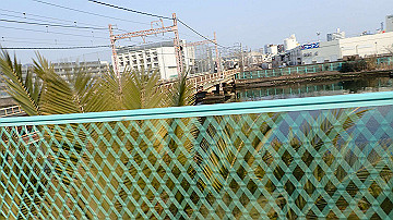 p3190379_thumb.jpg