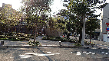 p3190401_thumb.jpg