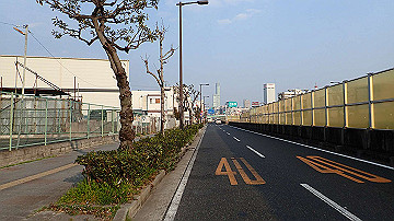p3190428_thumb.jpg