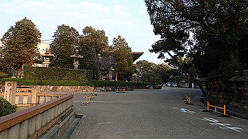 p3190440_thumb.jpg