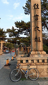 p3190443_thumb.jpg