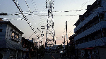 p3190463_thumb.jpg