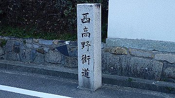 p3190469_thumb.jpg