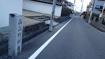 p3190470_thumb.jpg