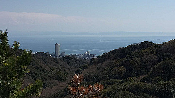 img_7486_thumb.jpg