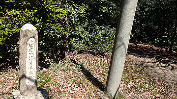 p4020055_thumb.jpg