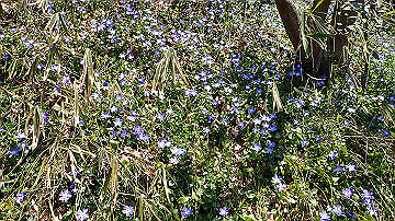 p4020104_thumb.jpg