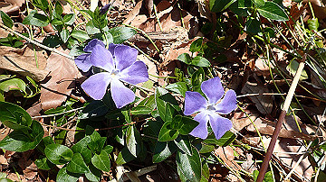 p4020105_thumb.jpg
