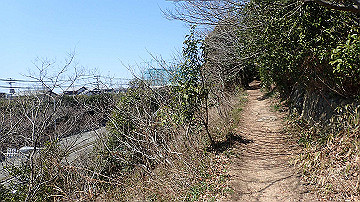 p4020106_thumb.jpg