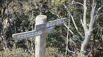 p4020122_thumb.jpg