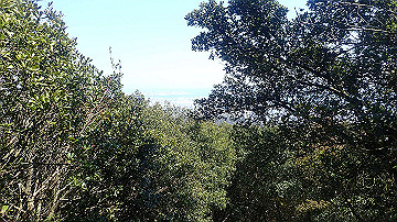 p4020130_thumb.jpg