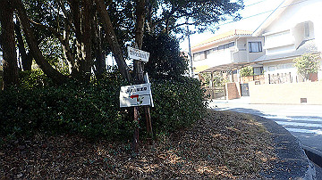 p4020164_thumb.jpg