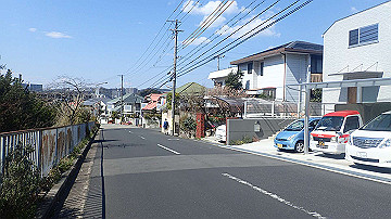 p4020165_thumb.jpg