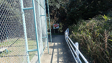 p4020202_thumb.jpg