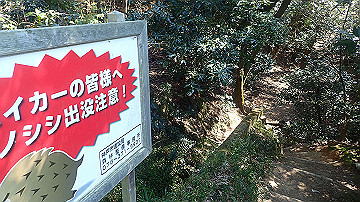 p4020203_thumb.jpg
