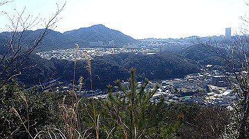 p4020204_thumb.jpg