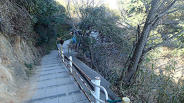 p4020233_thumb.jpg