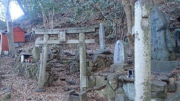 p4020245_thumb.jpg