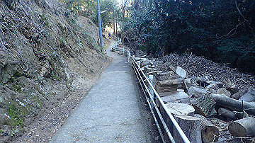 p4020247_thumb.jpg